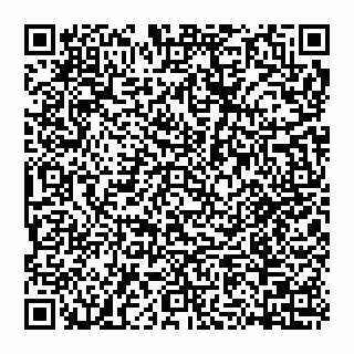 vCard 74956580013