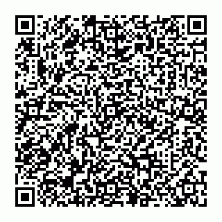 vCard 74956580033