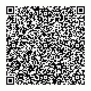 vCard 74956580040