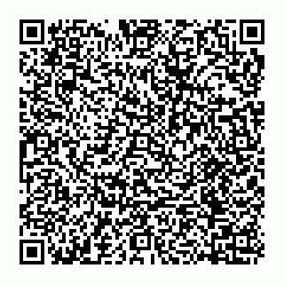 vCard 74956580085