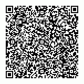 vCard 74956580095