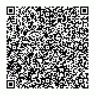 vCard 74956580118