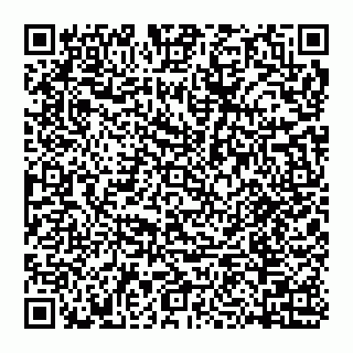 vCard 74956580131