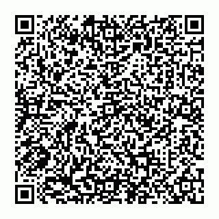 vCard 74956580133