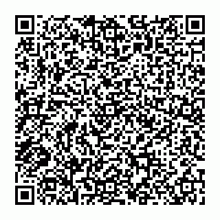 vCard 74956580229