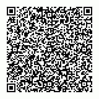 vCard 74956580290