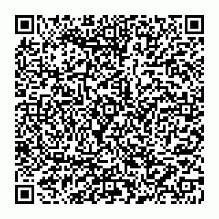 vCard 74956580291