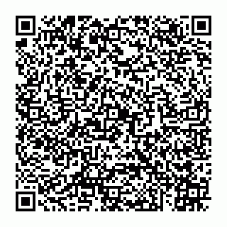 vCard 74956580294