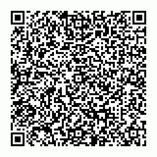 vCard 74956580313