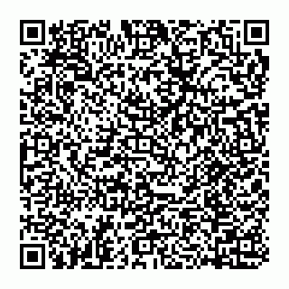 vCard 74956580331
