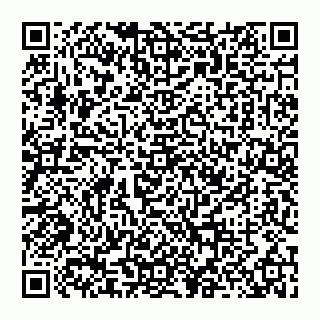 vCard 74956580337