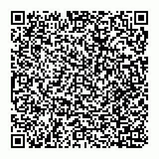 vCard 74956580382