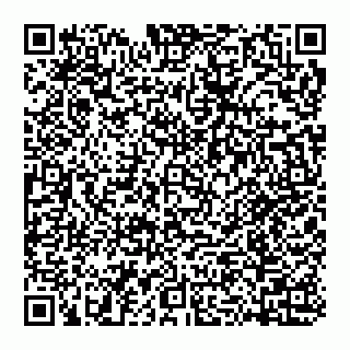vCard 74956580383