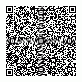 vCard 74956580384