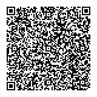 vCard 74956580385