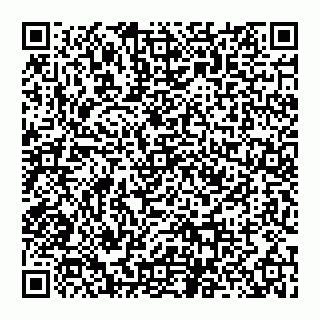 vCard 74956580386