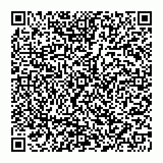 vCard 74956580387