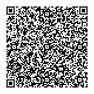 vCard 74956580388