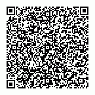 vCard 74956580399