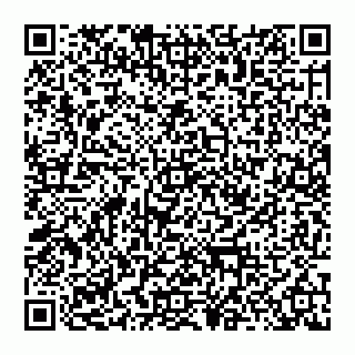 vCard 74956613904