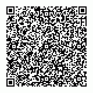 vCard 74956633539
