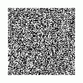 vCard 74956651299