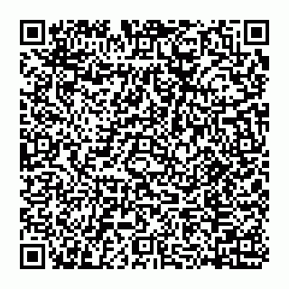 vCard 74956654119