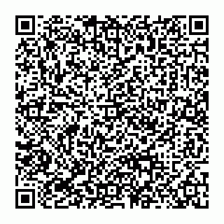 vCard 74956654131