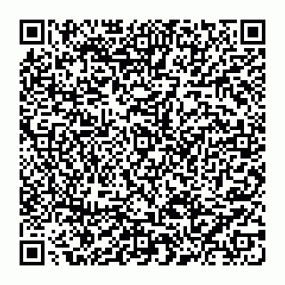 vCard 74956687400