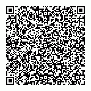 vCard 74956687404