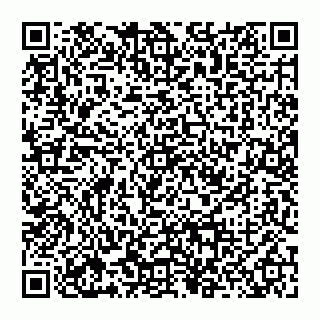 vCard 74956687427