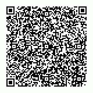 vCard 74956687480