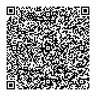 vCard 74956687620