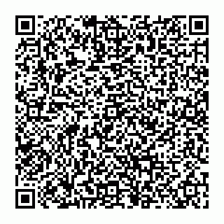 vCard 74956687704