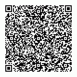 vCard 74956687729