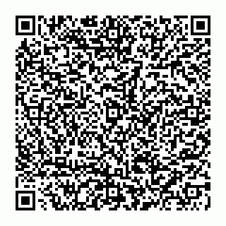 vCard 74956687742
