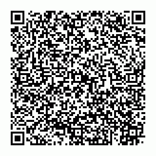 vCard 74956688087