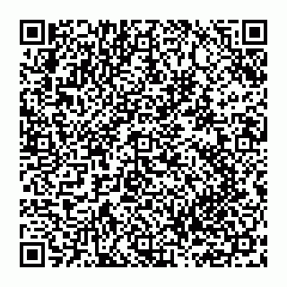 vCard 74956688095