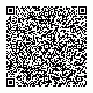 vCard 74956688138