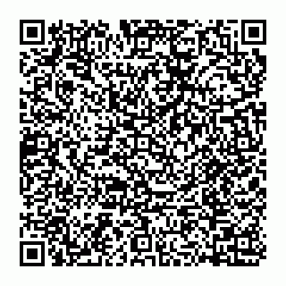 vCard 74956689111