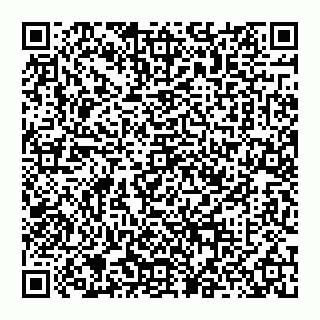 vCard 74956689133