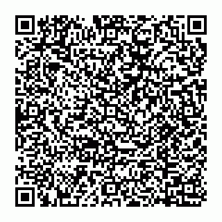 vCard 74956689138