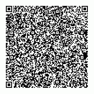 vCard 74956699299