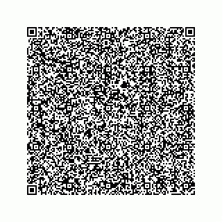 vCard 74956769379