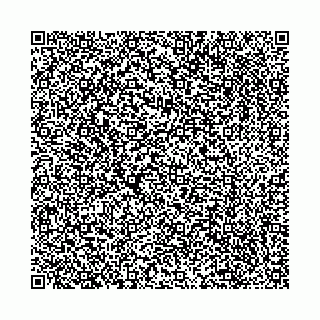 vCard 74956813509