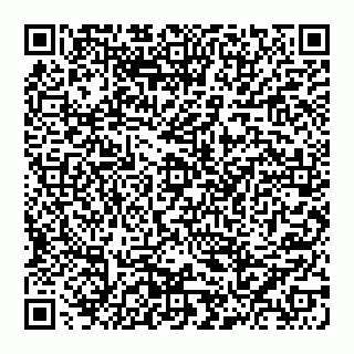 vCard 74956813533