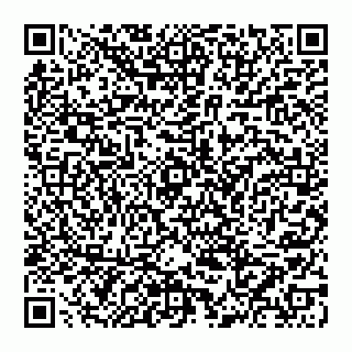 vCard 74956813631