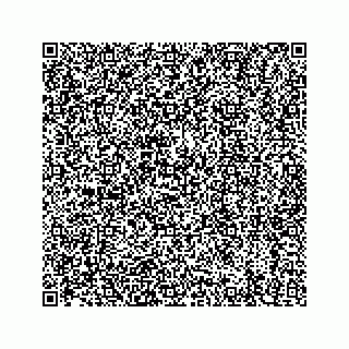 vCard 74956895133
