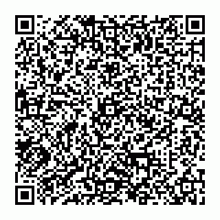 vCard 74956927373