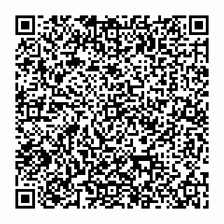 vCard 74956927379